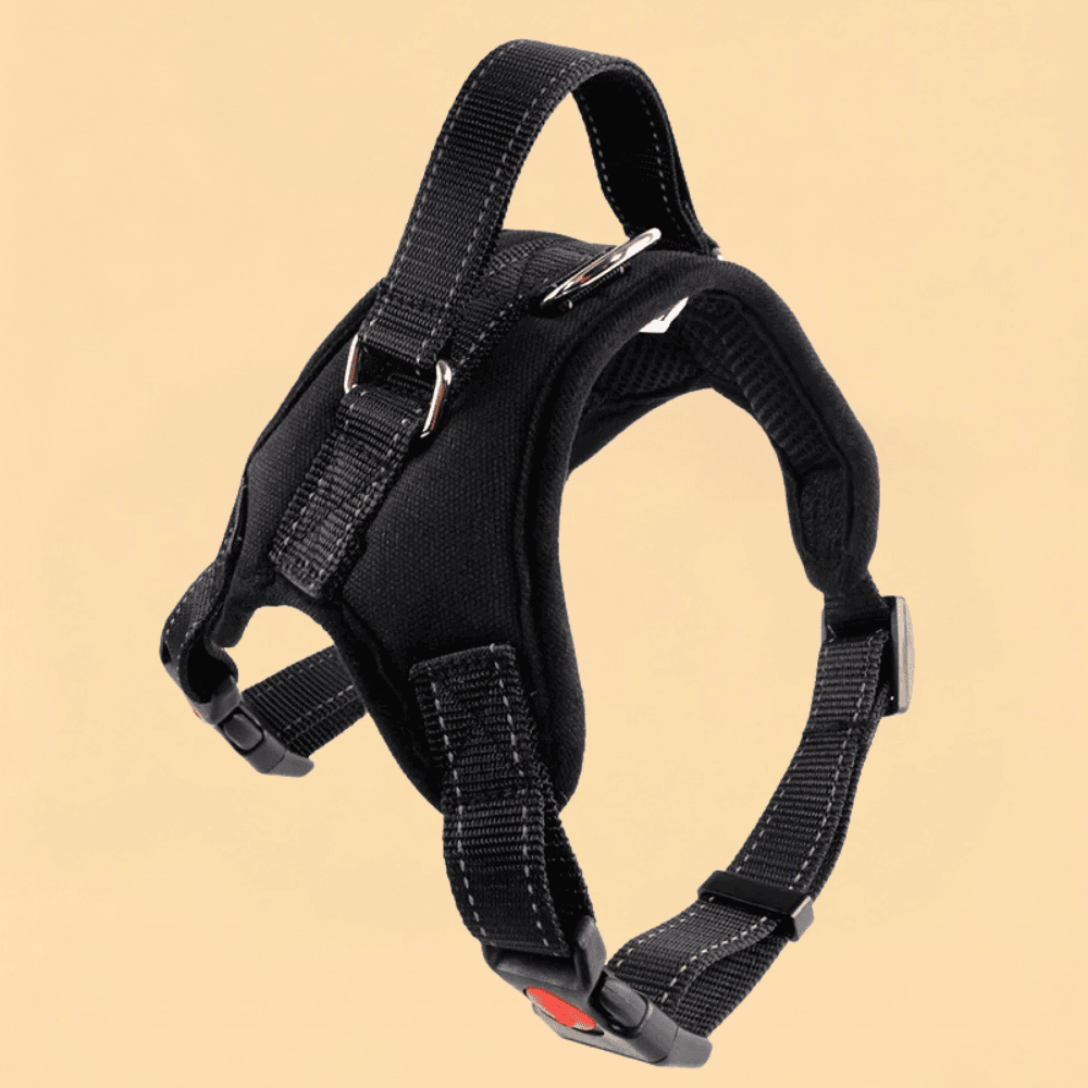 Peitoral Nylon Reforçado Ajustável para Cães