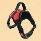 Peitoral Nylon Reforçado Ajustável para Cães