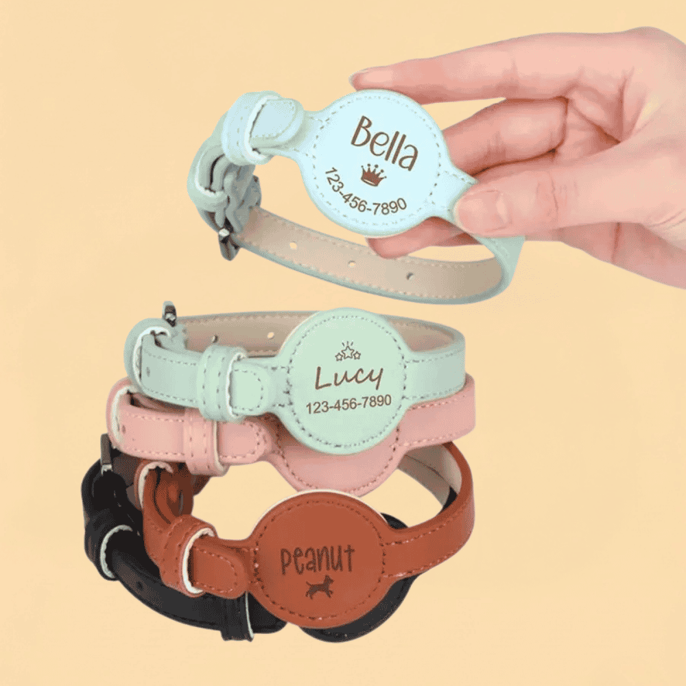Coleira de Couro Personalizada com Suporte para AirTag e Gravada