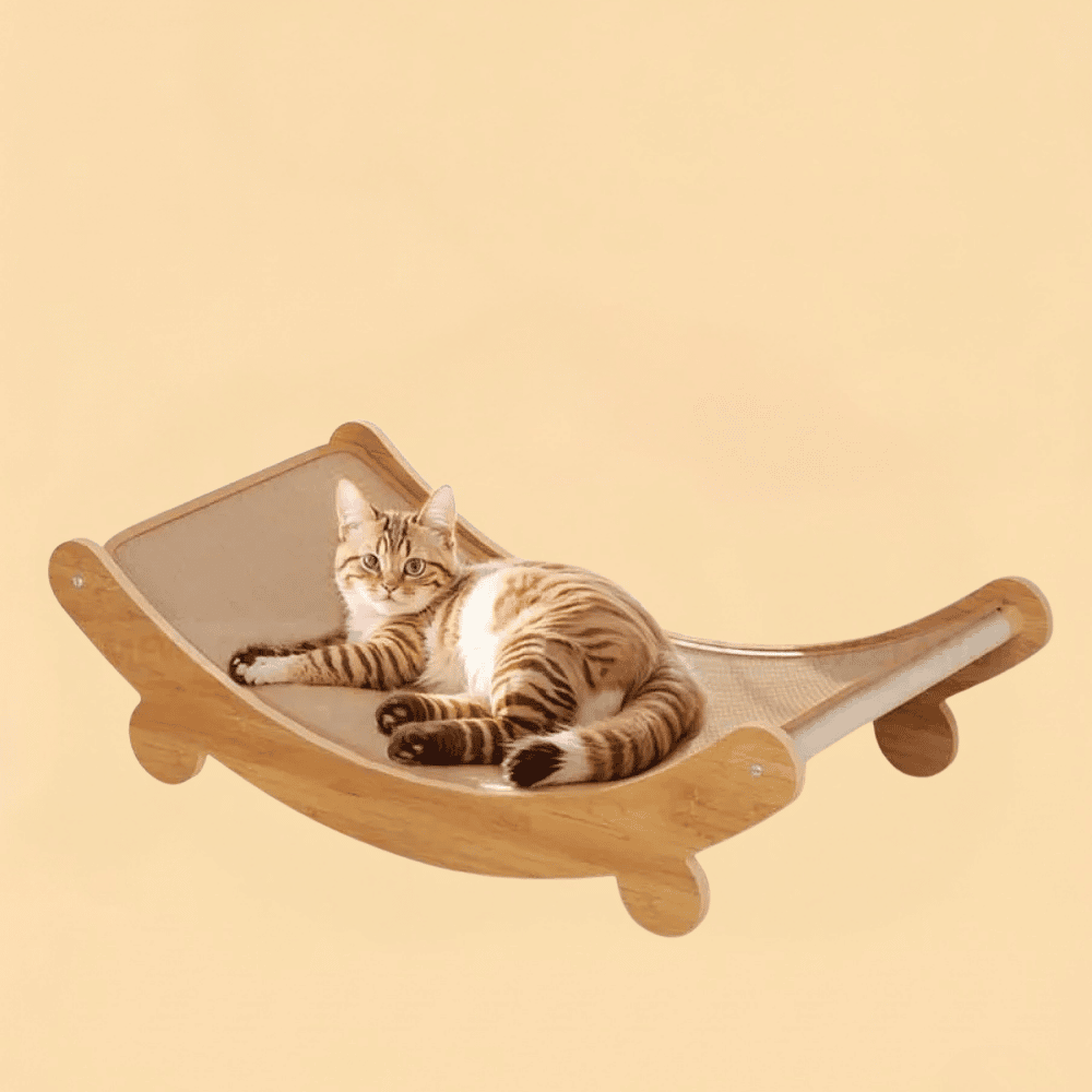 Arranhador para Gatos 2 em 1 Cama e Protetor Desmontável