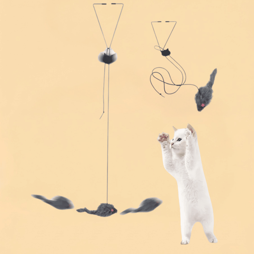 Brinquedo para Gatos Rato Suspenso Retrátil de Porta