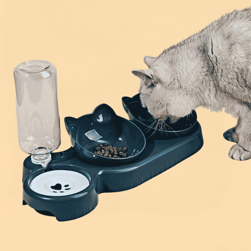 Comedouro Pet 3 em 1 Ergonômico com Bebedouro Automático