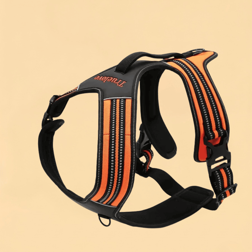 Peitoral Truelove Sport Nylon Refletivo Com Alça Várias Cores