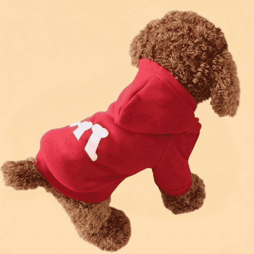 Moletom Pet com Capuz Estampa de Letras e Ossos Coleção Outono Inverno