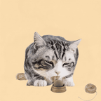 Bola de Catnip Natural de Parede para Gatos Digestão Saudável