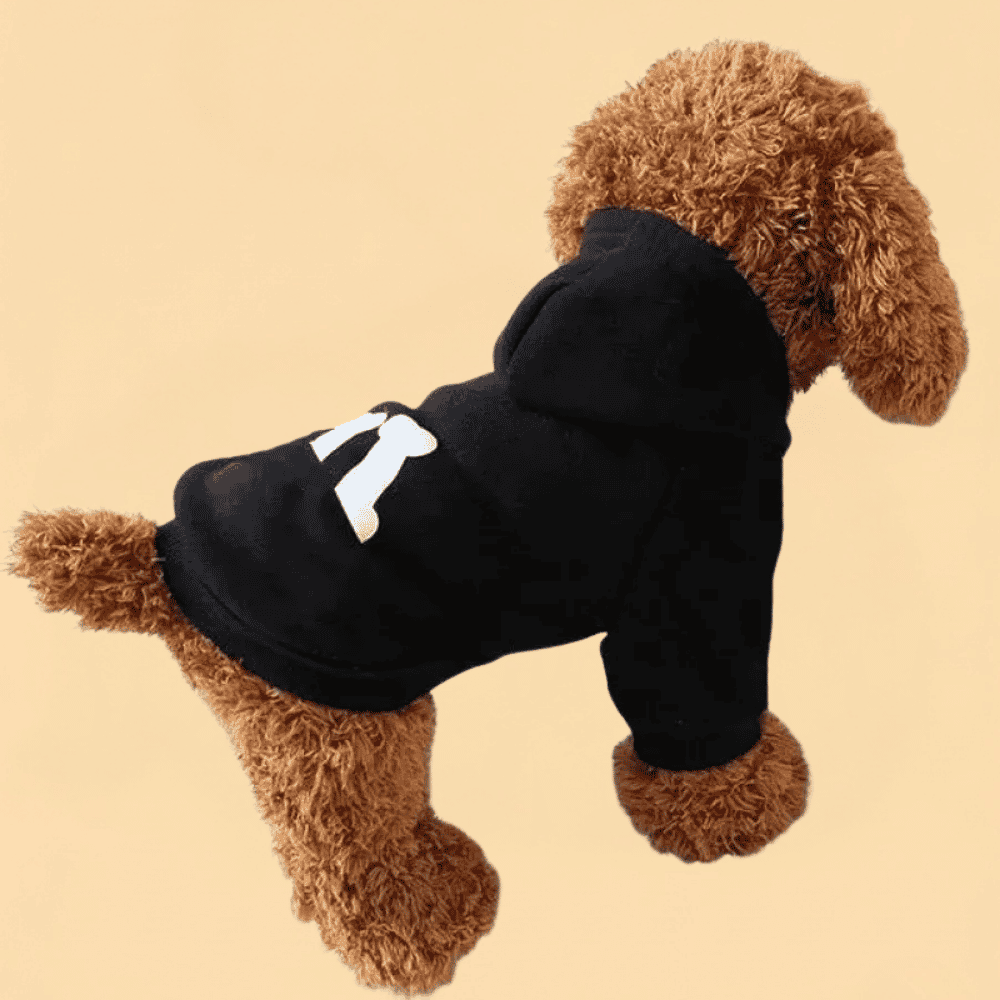 Moletom Pet com Capuz Estampa de Letras e Ossos Coleção Outono Inverno