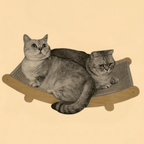 Arranhador para Gatos 2 em 1 Cama e Protetor Desmontável