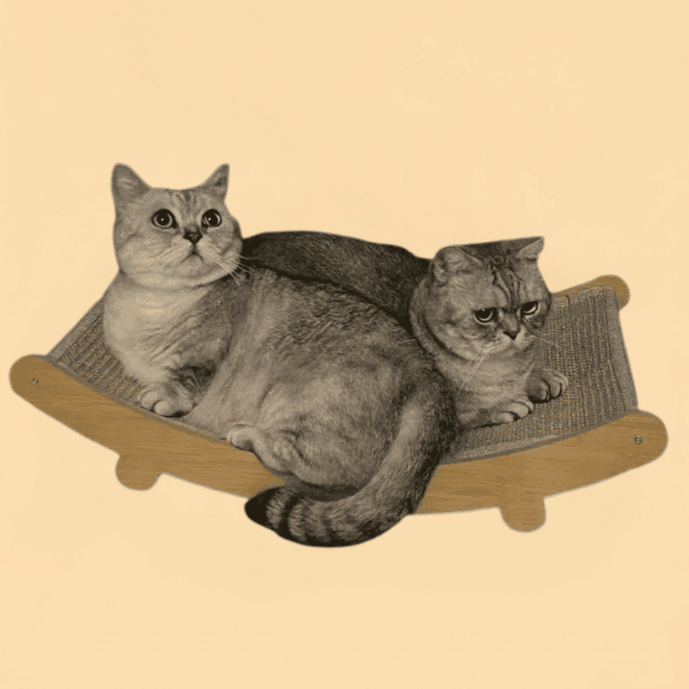 Arranhador para Gatos 2 em 1 Cama e Protetor Desmontável