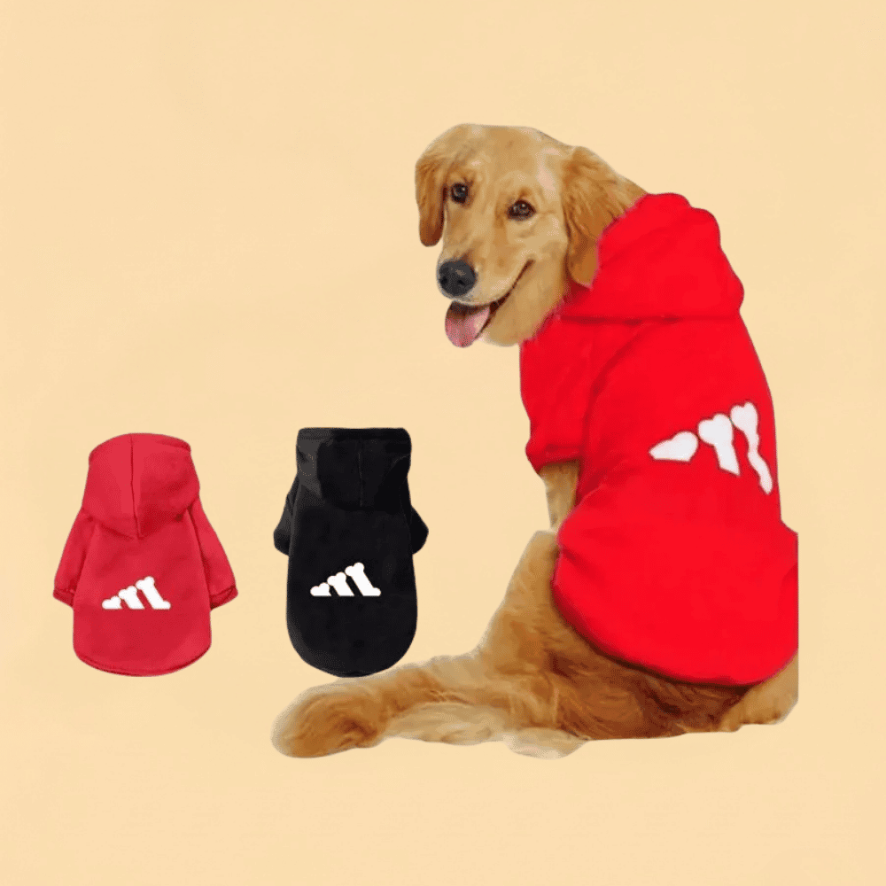 Moletom Pet com Capuz Estampa de Letras e Ossos Coleção Outono Inverno