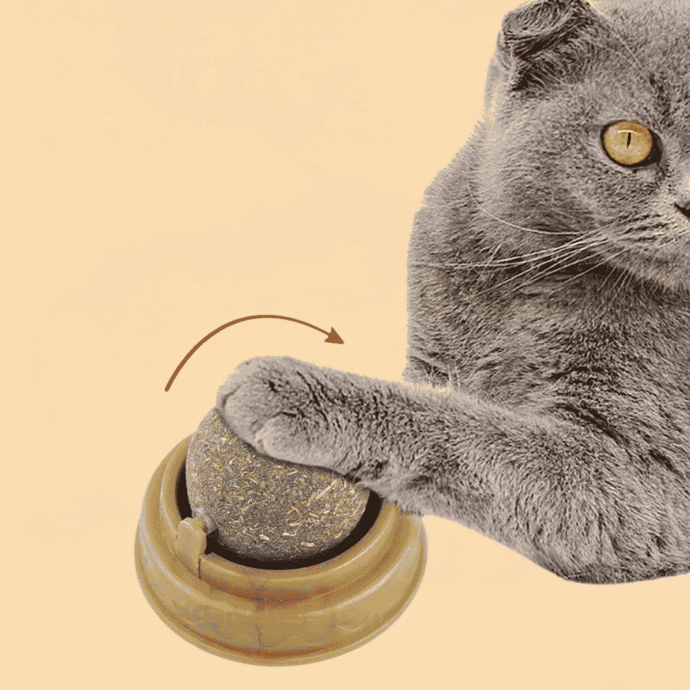 Bola de Catnip Natural de Parede para Gatos Digestão Saudável