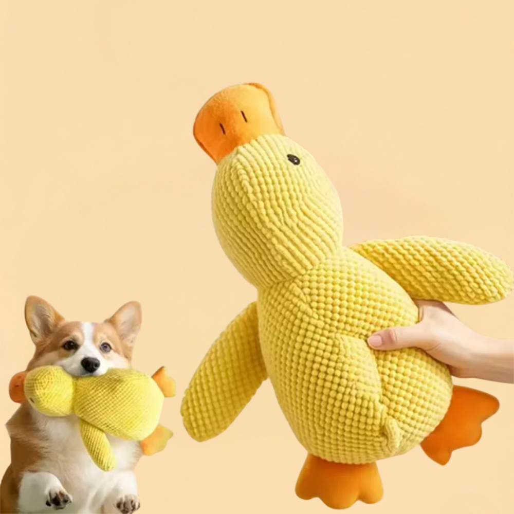 Brinquedo Pelucia Pato Interativo Limpa Dentes Caes