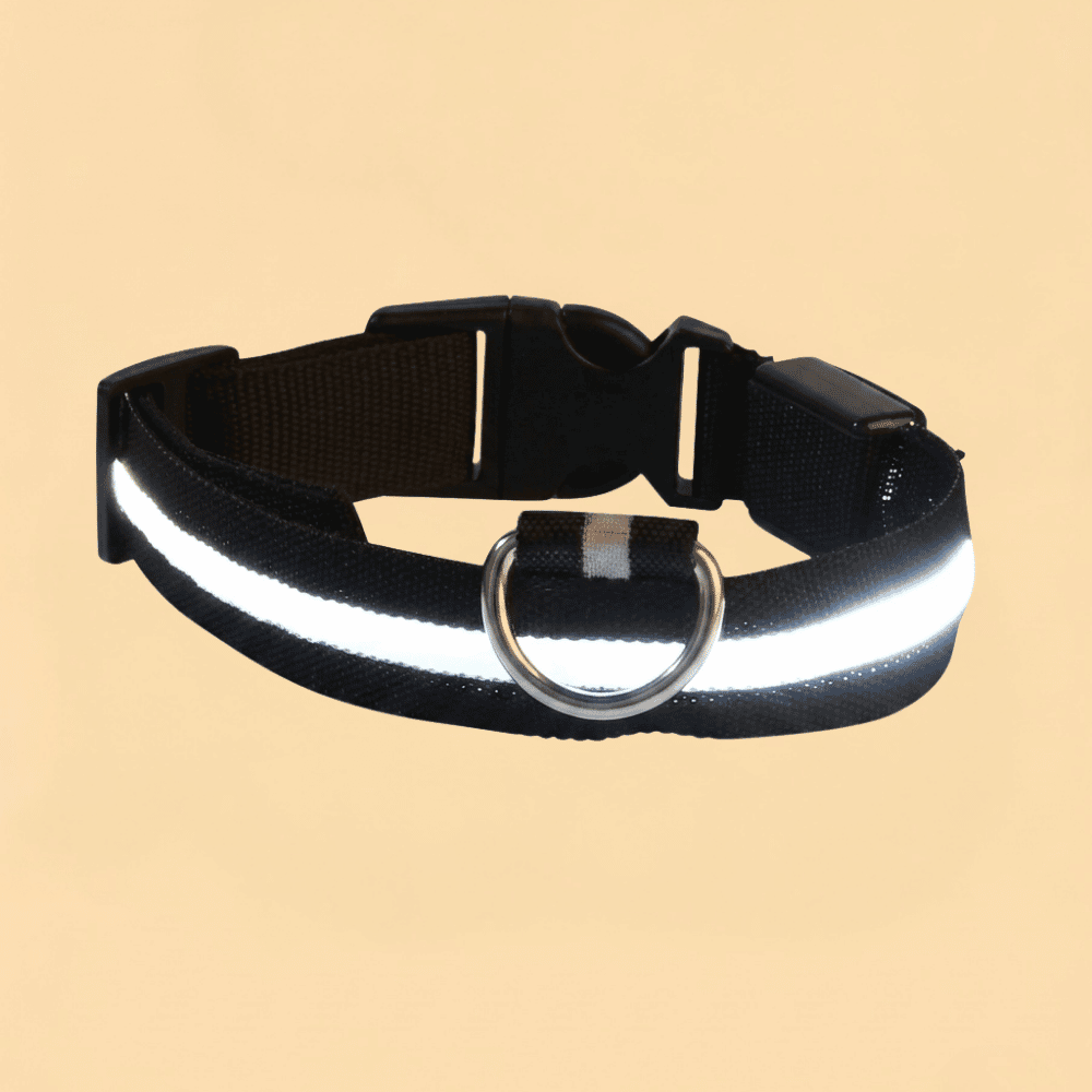Guia de Cachorro com LED em Nylon e Brilho Noturno