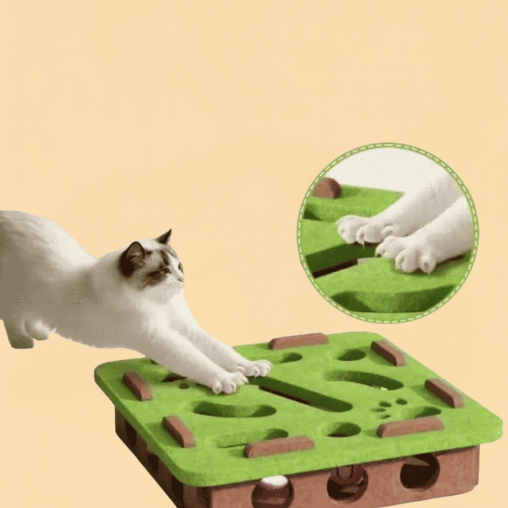Brinquedo Interativo Labirinto de Feltro com Bolinha e Guizo para Gatos