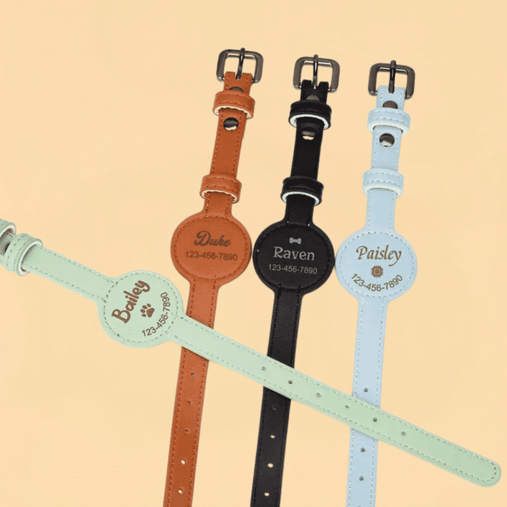 Coleira de Couro Personalizada com Suporte para AirTag e Gravada