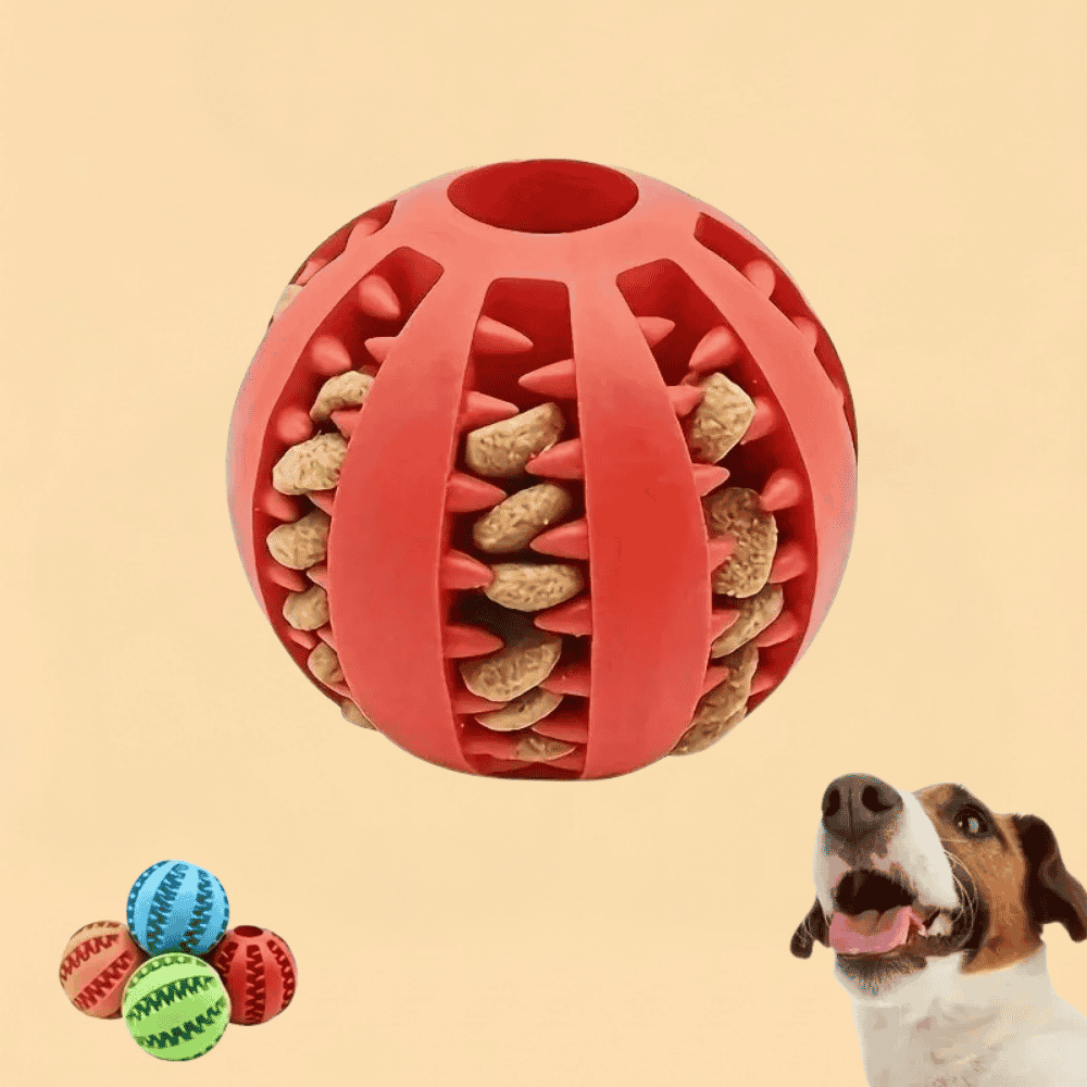 Bola Pet Interativa Porta Petiscos e Mordedor Resistente