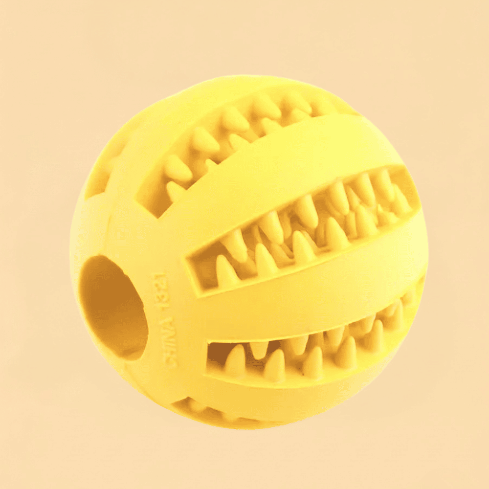 Bola Pet Interativa Porta Petiscos e Mordedor Resistente