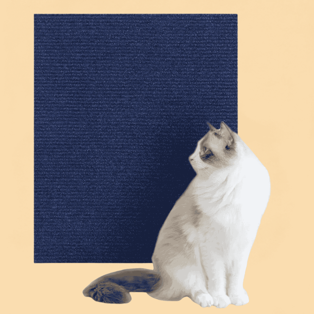 Arranhador para Gatos Adesivo Protetor de Móveis e Parede Recortável