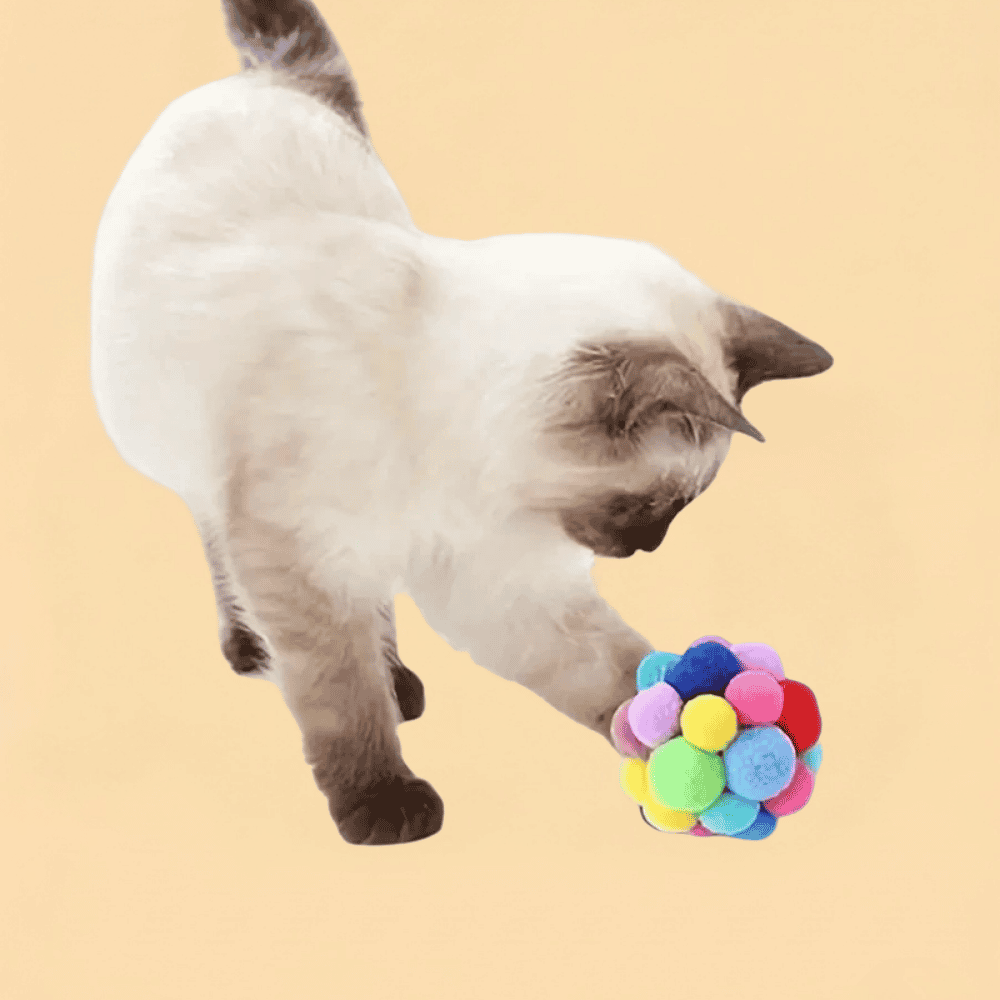 Kit Bolinhas de Lã com Guizo para Gatos Brinquedo Interativo