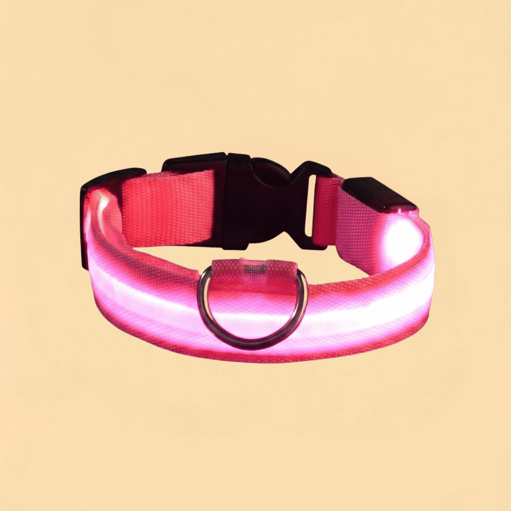 Guia de Cachorro com LED em Nylon e Brilho Noturno