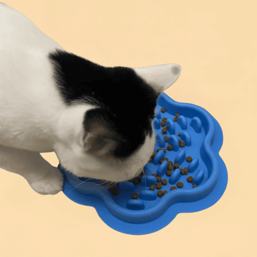Tapete de Lamber de Silicone para Cães e Gatos Slow Food