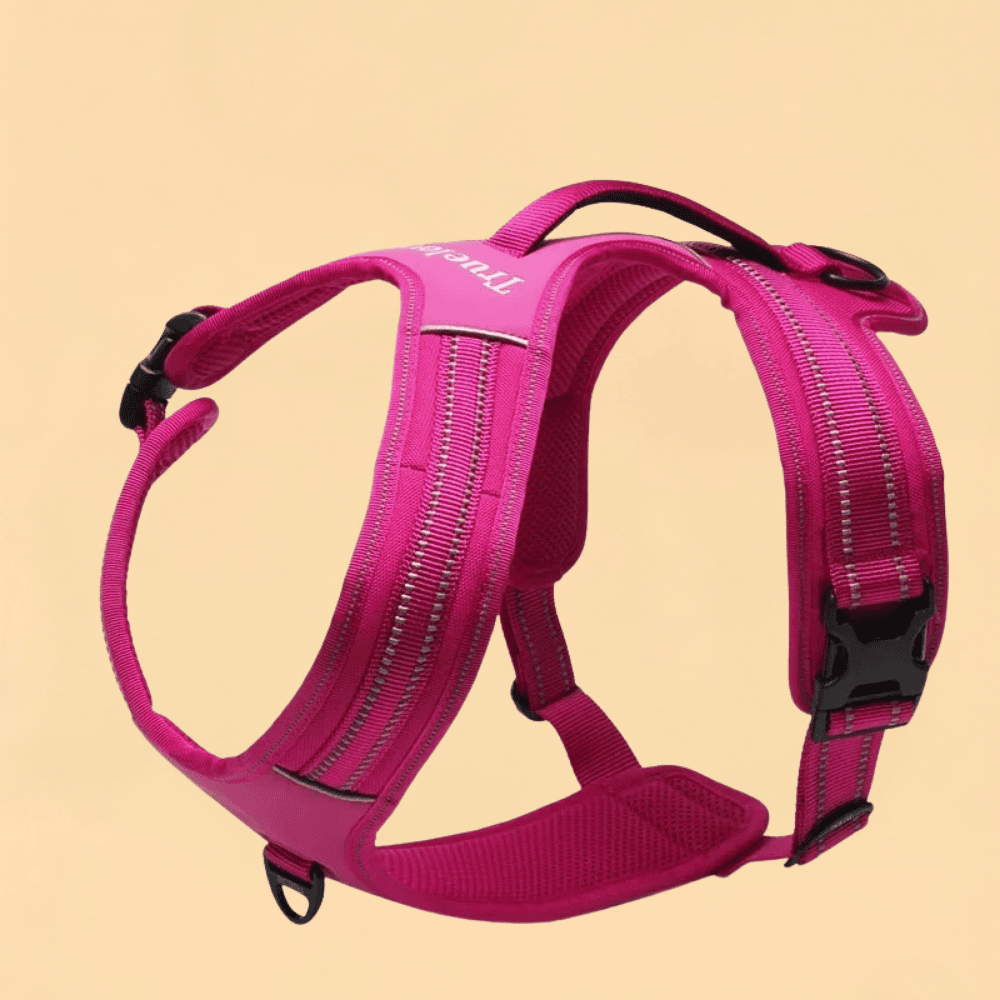 Peitoral Truelove Sport Nylon Refletivo Com Alça Várias Cores
