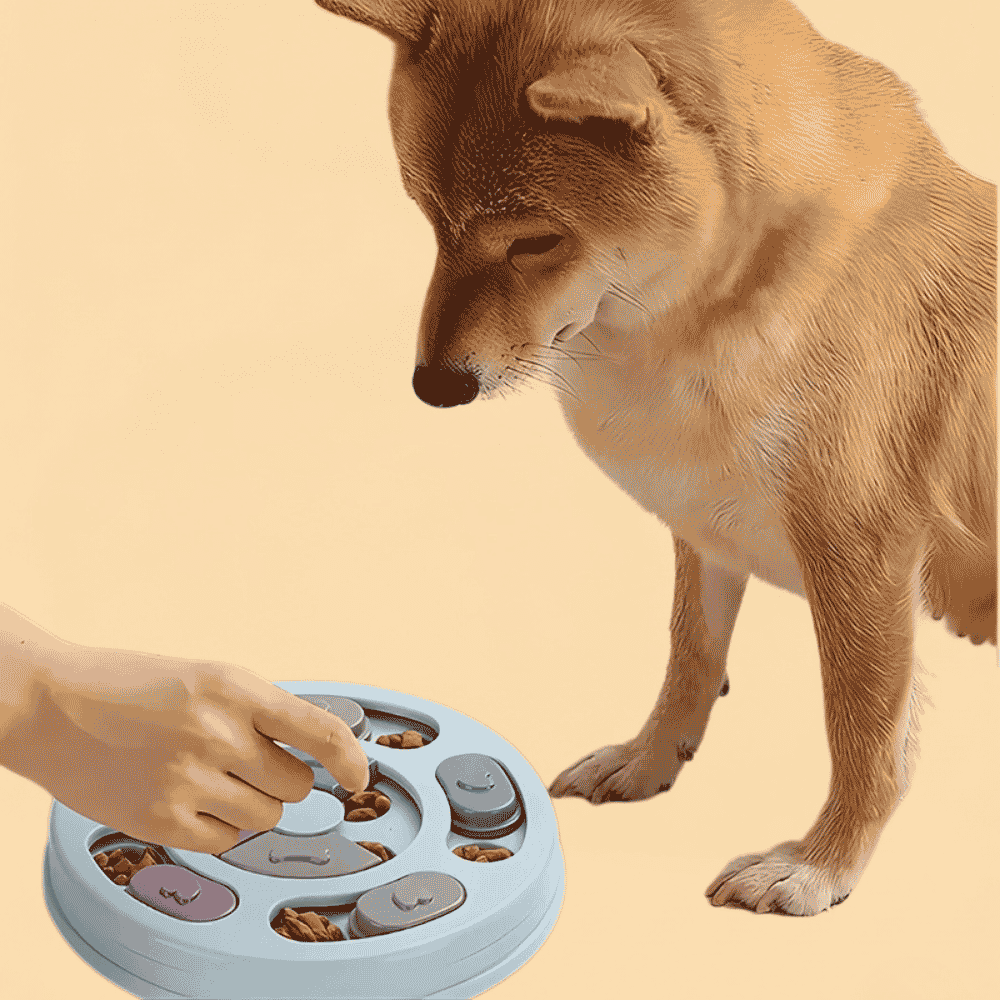 Comedouro Interativo e Brinquedo Educativo Dispenser de Ração