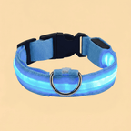 Guia de Cachorro com LED em Nylon e Brilho Noturno