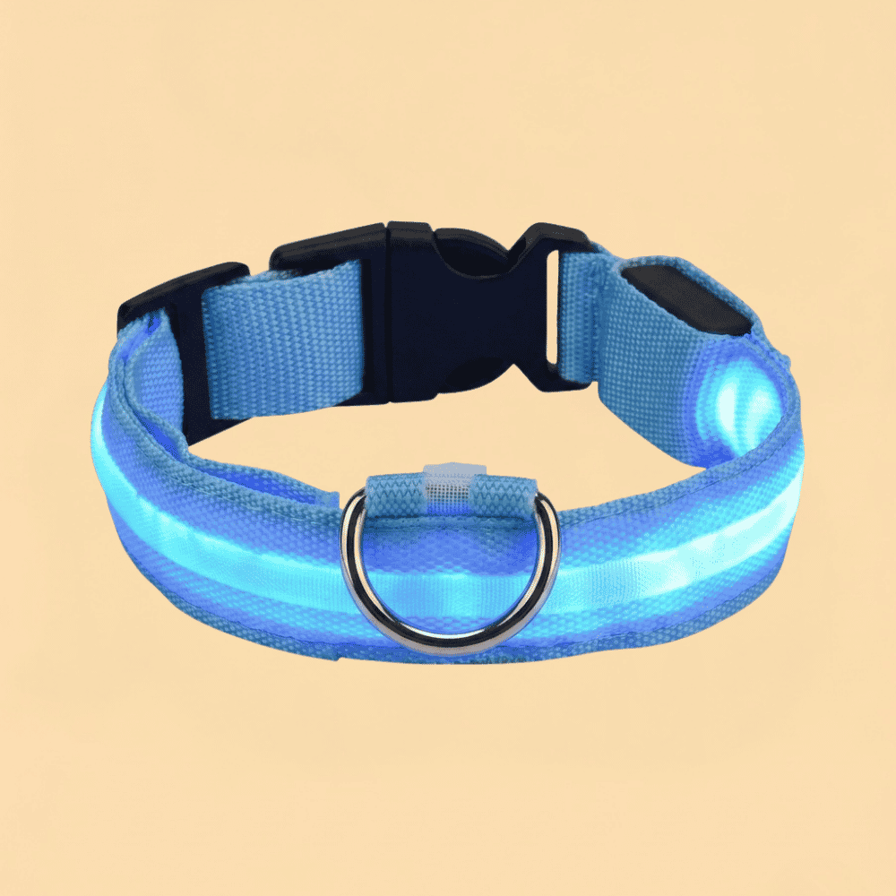 Guia de Cachorro com LED em Nylon e Brilho Noturno