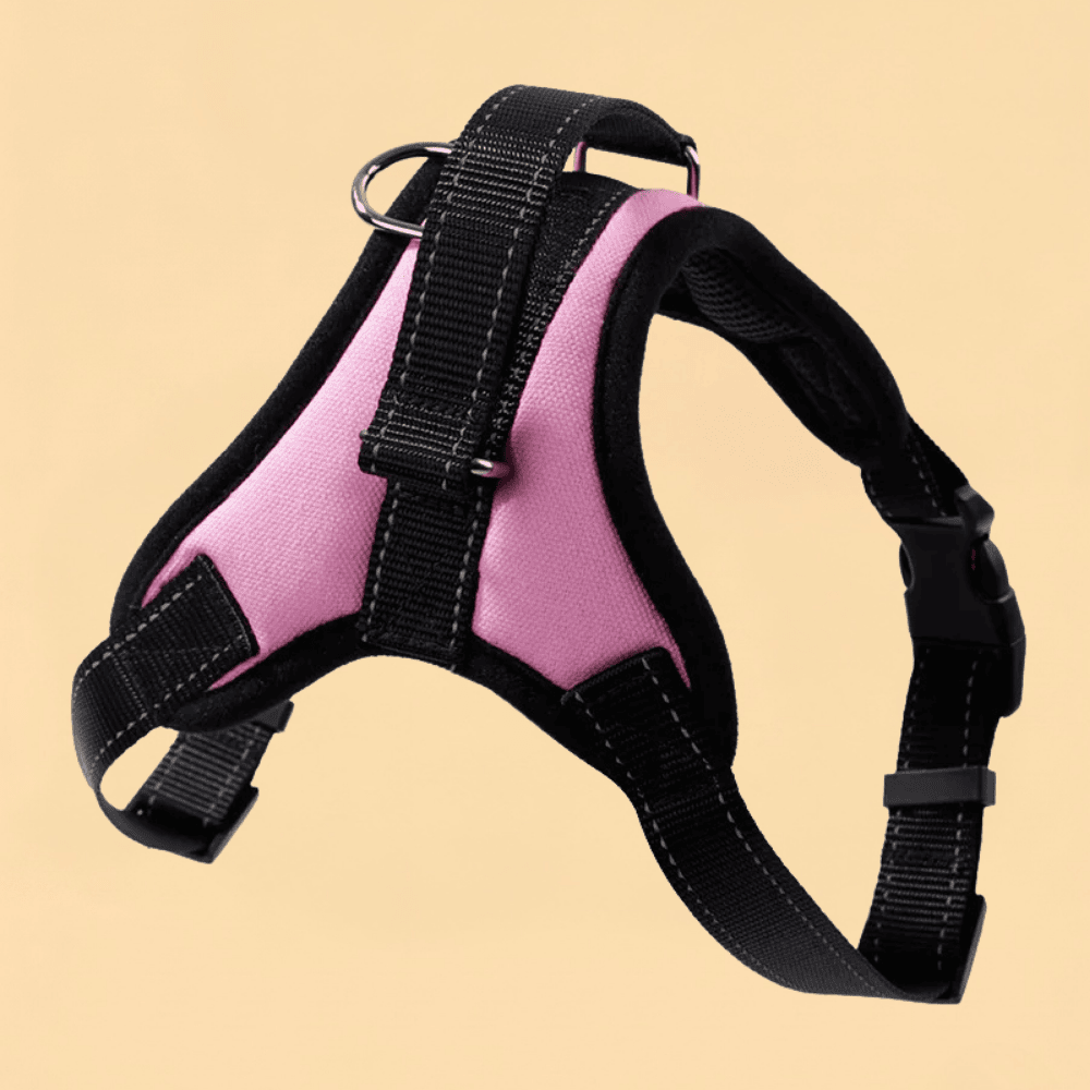 Peitoral Nylon Reforçado Ajustável para Cães
