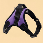 Peitoral Nylon Reforçado Ajustável para Cães
