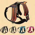 Peitoral Truelove Sport Nylon Refletivo Com Alça Várias Cores
