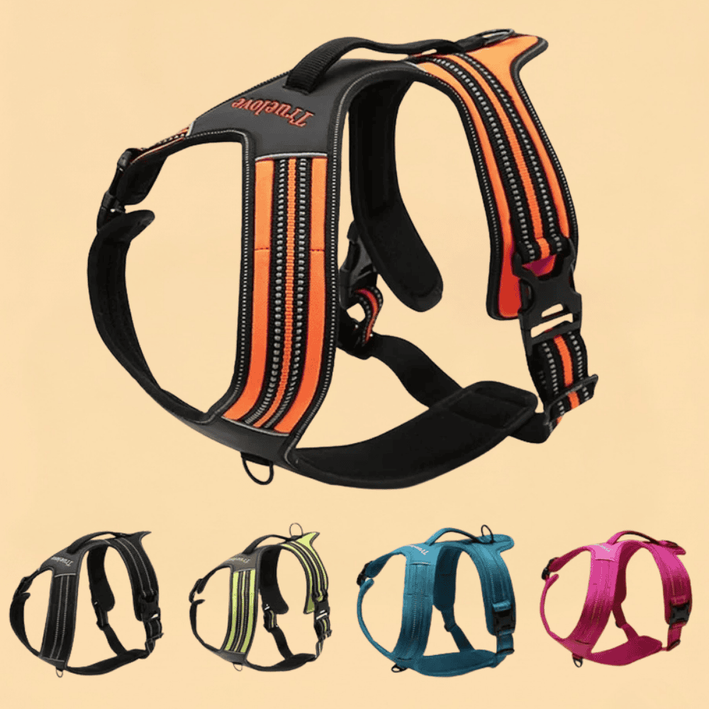 Peitoral Truelove Sport Nylon Refletivo Com Alça Várias Cores