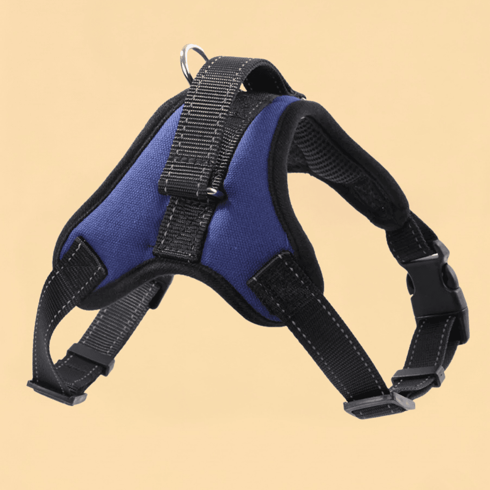 Peitoral Nylon Reforçado Ajustável para Cães