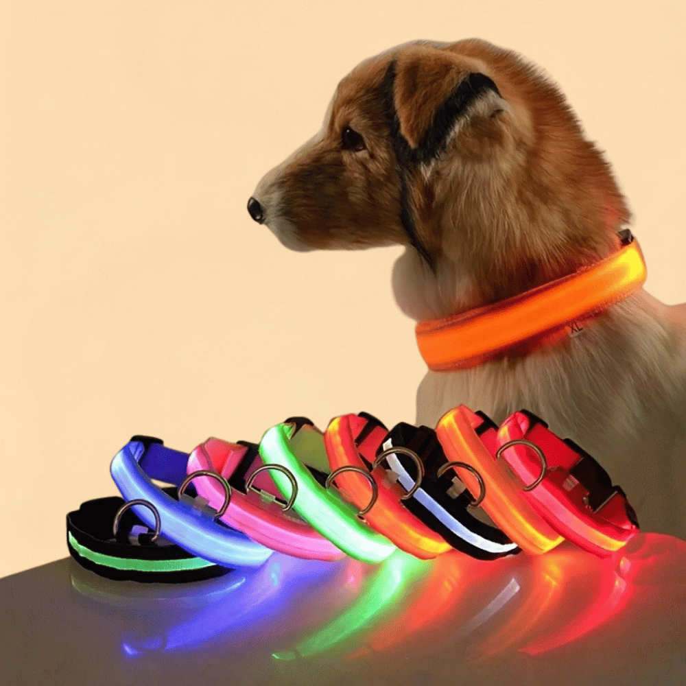 Guia de Cachorro com LED em Nylon e Brilho Noturno