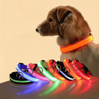 Guia de Cachorro com LED em Nylon e Brilho Noturno