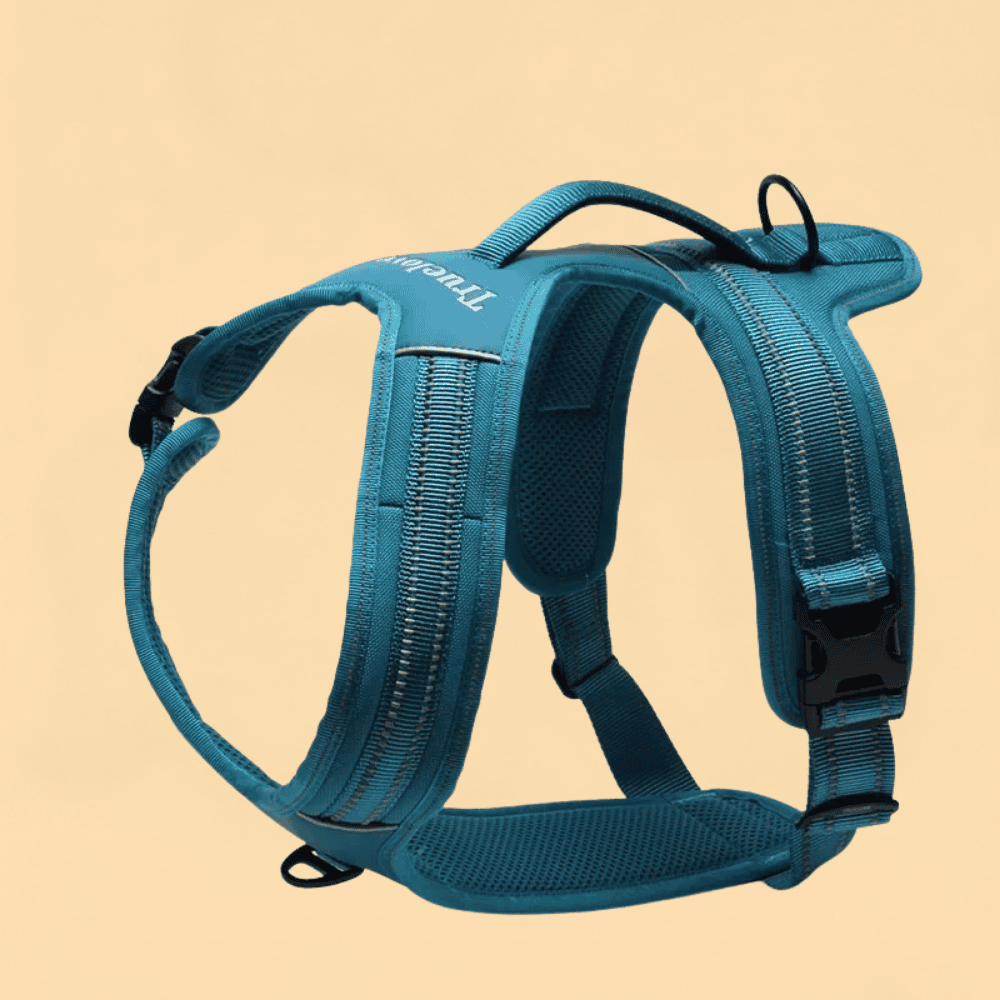 Peitoral Truelove Sport Nylon Refletivo Com Alça Várias Cores