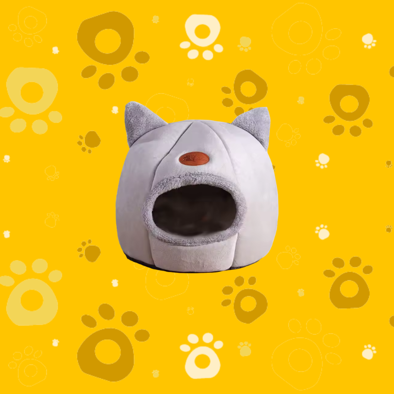 CAMAS